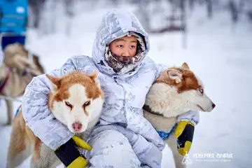 “Short Loop” husky sled ride
