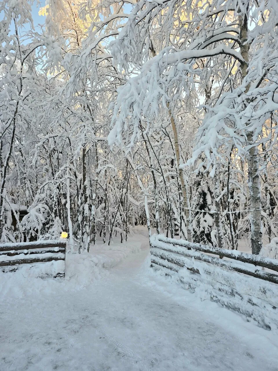 Фото отзыва Яндекс: Дмитрий Петров #4